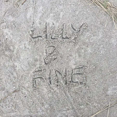Lilly Fine